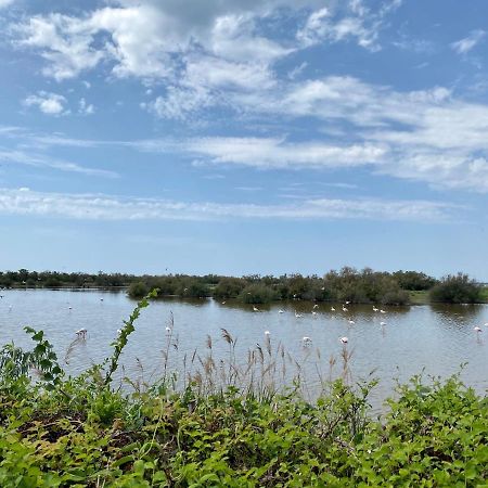 New Jungle Lake - Clim - Wifi - Draps & Serviettes - Bbq - 10' Des Plages Lattes Luaran gambar