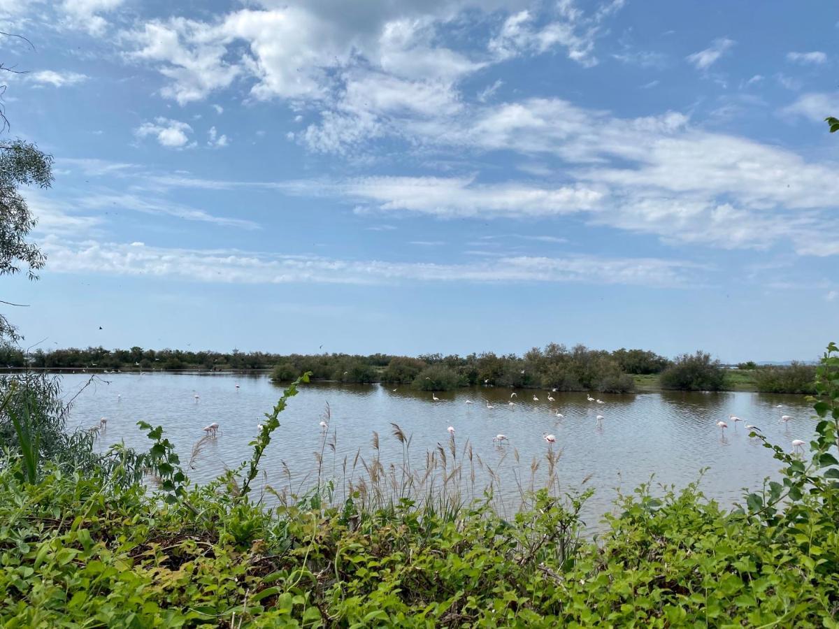 New Jungle Lake - Clim - Wifi - Draps & Serviettes - Bbq - 10' Des Plages Lattes Luaran gambar